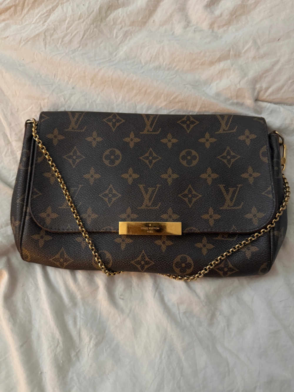 Louis Vuitton Favorite Bag